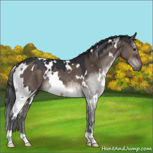 Horse Color:White Spotted Brown Dun Mushroom 