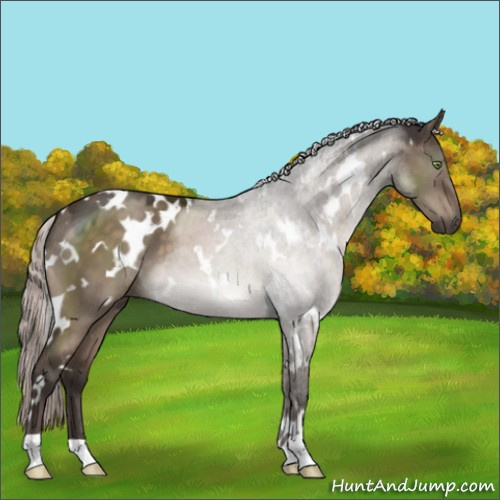 Horse Color:White Spotted Silver Brown Dun Mushroom