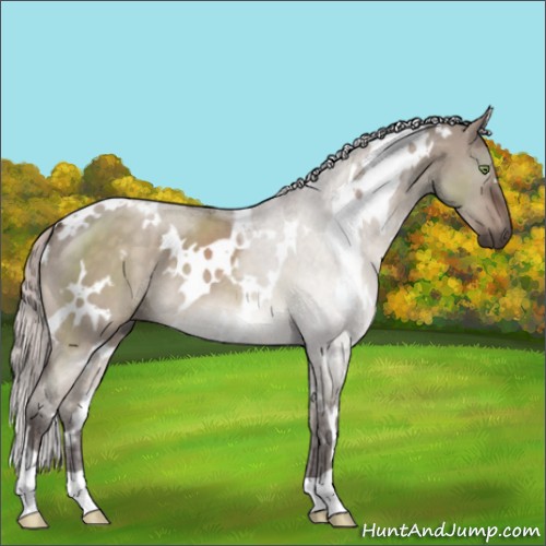 Horse Color:White Spotted Silver Brown Dun Mushroom 