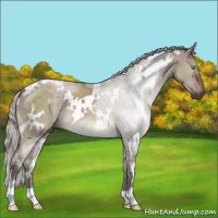 Horse Color:White Spotted Silver Brown Dun Mushroom 