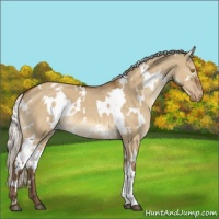 Horse Color:White Spotted Silver Buckskin Dun Mushroom Varnish 