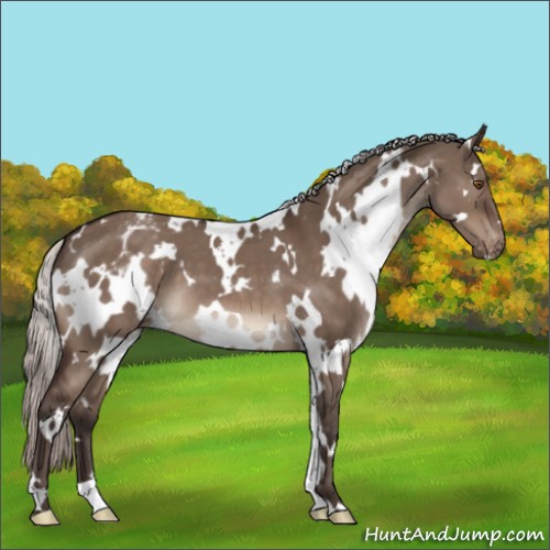 Horse Color:White Spotted Silver Brown Dun Mushroom Varnish