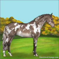 Horse Color:White Spotted Silver Brown Dun Mushroom Varnish 