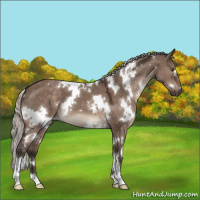 Horse Color:White Spotted Silver Brown Dun Mushroom 
