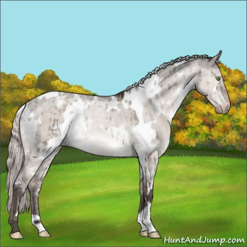 Horse Color:White Spotted Silver Brown Dun Mushroom Varnish Brindle