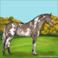 Horse Color:White Spotted Silver Brown Dun Mushroom Varnish 