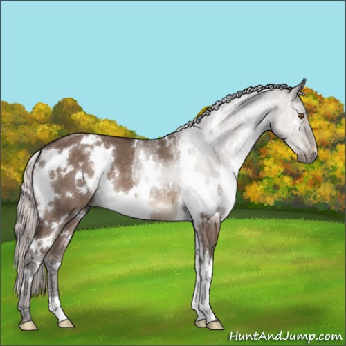 Horse Color:White Spotted Silver Brown Dun Mushroom 