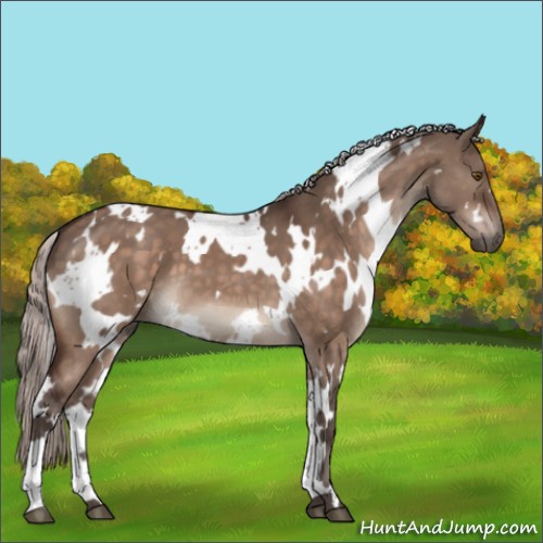 Horse Color:White Spotted Silver Brown Dun Mushroom 