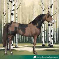 Horse Color:Brown Sabino  and Classic Champagne 