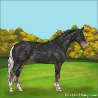 Horse Color:Liver Chestnut Mushroom Snowflake Varnish 