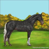 Horse Color:Liver Chestnut Mushroom Snowflake Varnish 
