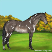 Horse Color:White Spotted Brown Dun Mushroom 