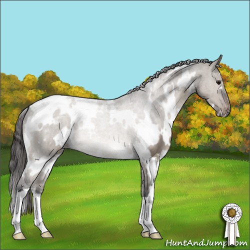 Horse Color:White Spotted Brown Dun Mushroom Appaloosa 