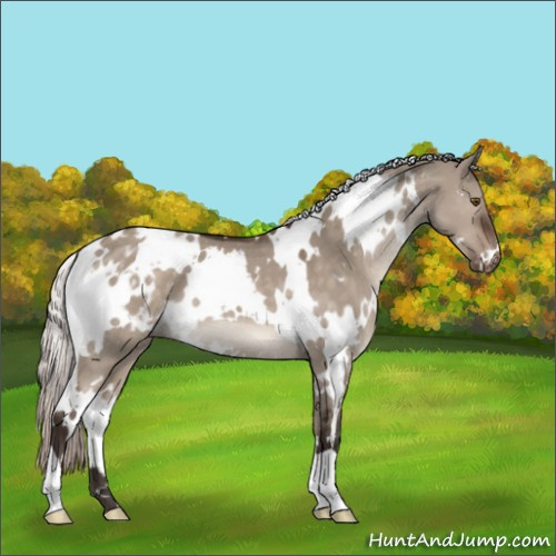 Horse Color:White Spotted Silver Brown Dun Mushroom Varnish 