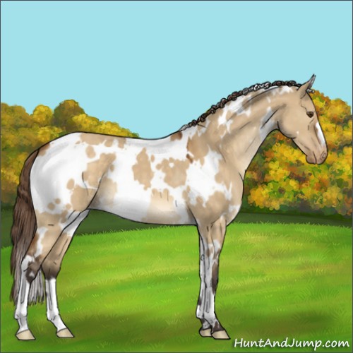Horse Color:White Spotted Buckskin Dun Mushroom Varnish 