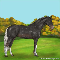 Horse Color:Liver Chestnut Mushroom Snowflake Varnish 