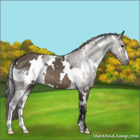 Horse Color:White Spotted Brown Dun Mushroom Varnish 
