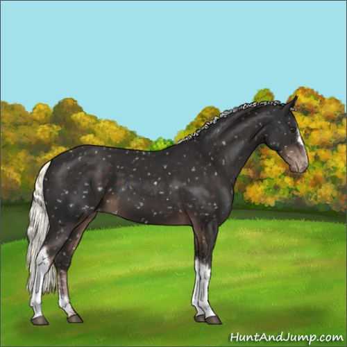 Horse Color:Liver Chestnut Mushroom Snowflake Varnish