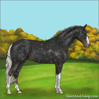 Horse Color:Liver Chestnut Mushroom Snowflake Varnish 