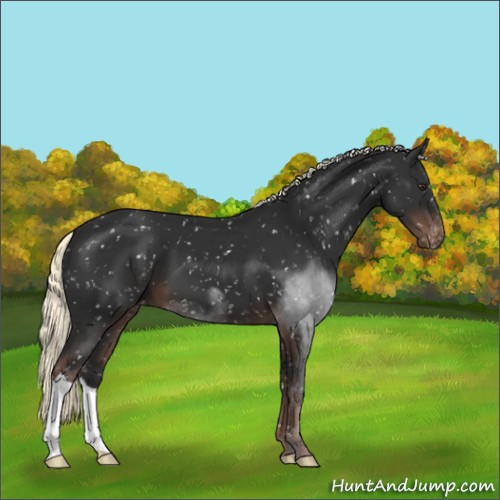Horse Color:Liver Chestnut Mushroom Snowflake Varnish 