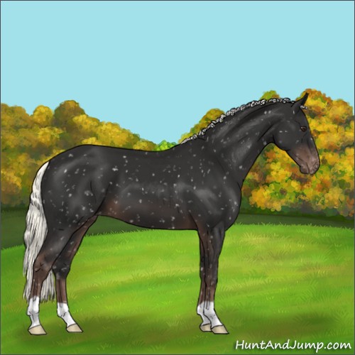 Horse Color:Liver Chestnut Mushroom Snowflake Varnish
