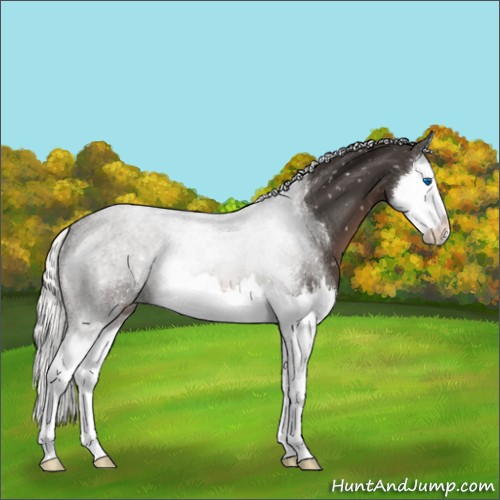 Horse Color:Liver Chestnut Mushroom Splash Snowflake Varnish 