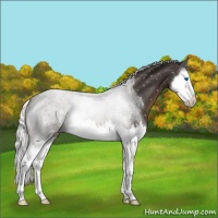 Horse Color:Liver Chestnut Mushroom Splash Snowflake Varnish 
