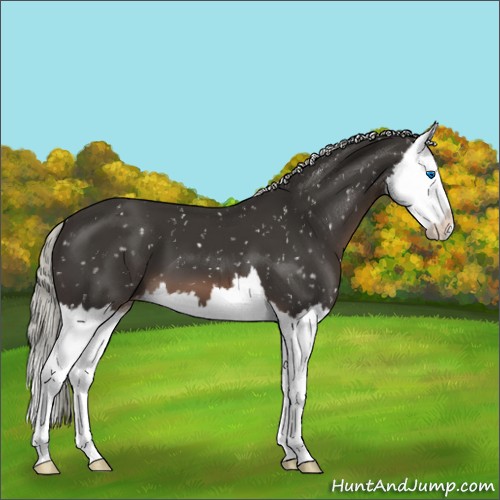 Horse Color:Liver Chestnut Mushroom Splash Snowflake Varnish 