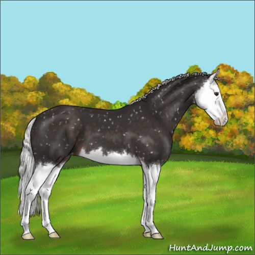 Horse Color:Liver Chestnut Mushroom Splash Snowflake Varnish
