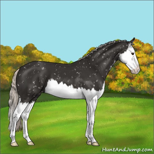 Horse Color:Liver Chestnut Mushroom Splash Snowflake Varnish