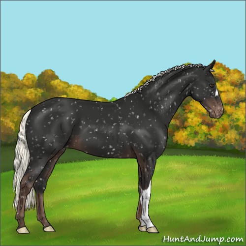 Horse Color:Liver Chestnut Mushroom Snowflake Varnish