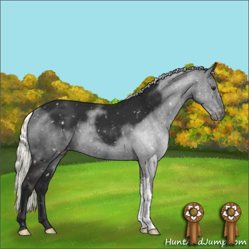 Horse Color:Liver Chestnut Mushroom Snowflake Varnish
