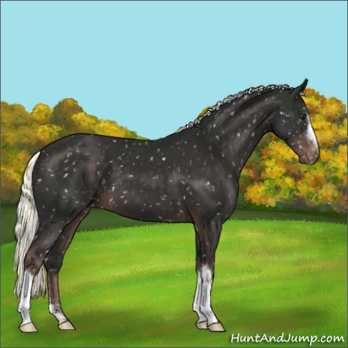 Horse Color:Liver Chestnut Mushroom Snowflake Varnish 