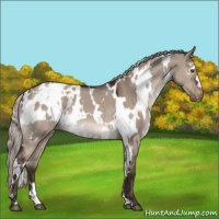 Horse Color:White Spotted Silver Brown Dun Mushroom Varnish 