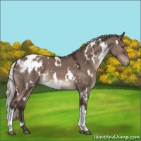 Horse Color:White Spotted Silver Brown Dun Mushroom Varnish 