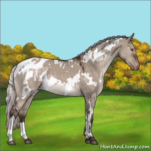 Horse Color:White Spotted Silver Brown Dun Mushroom Varnish