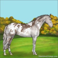 Horse Color:White Spotted Silver Brown Dun Mushroom Varnish 