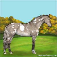Horse Color:White Spotted Silver Brown Dun Mushroom 