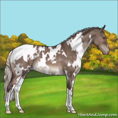 Horse Color:White Spotted Silver Brown Dun Mushroom Varnish