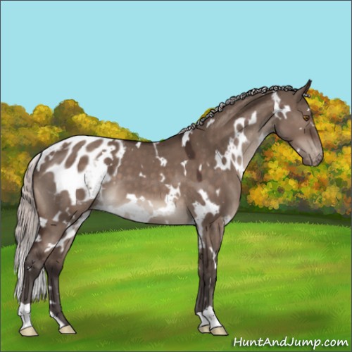 Horse Color:White Spotted Silver Brown Dun Mushroom Varnish