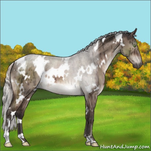 Horse Color:White Spotted Silver Brown Dun Mushroom Brindle