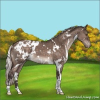Horse Color:White Spotted Silver Brown Dun Mushroom Varnish 