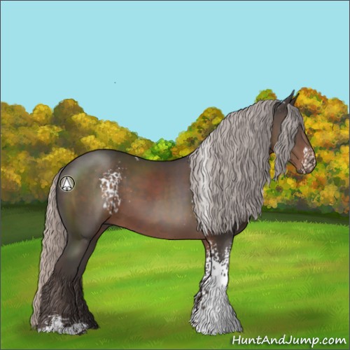 Horse Color:White Spotted Silver Black Sabino 
