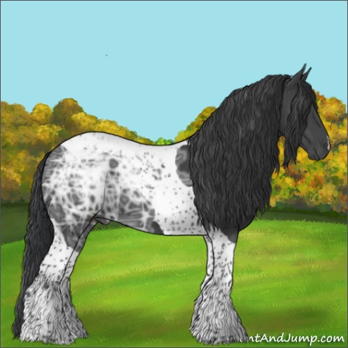 Horse Color:Black Ice Tobiano 