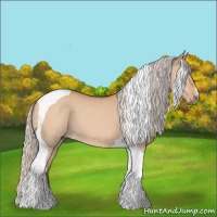 Horse Color:Silver Bay Dun Tobiano 