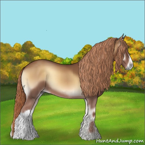 Horse Color:Red Onyx 