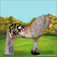 Horse Color:Void Nacre Silver Bay Onyx Appaloosa 