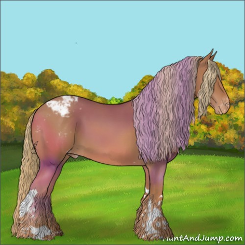 Horse Color:Chestnut Tobiano Appaloosa 