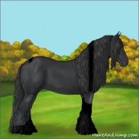 Horse Color:Void Black Tobiano 