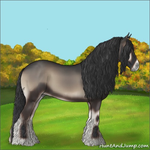 Horse Color:Void Blue Onyx